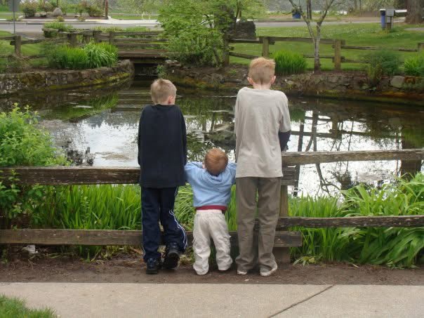 Children together beside a pond, representing family and life's journey